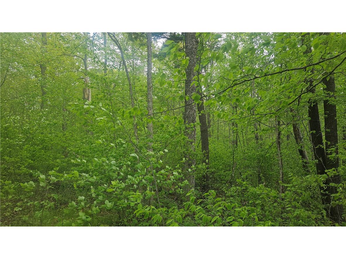 Lot 3 Buckeye Lane Stone Lake WI 54876 1591844 image2