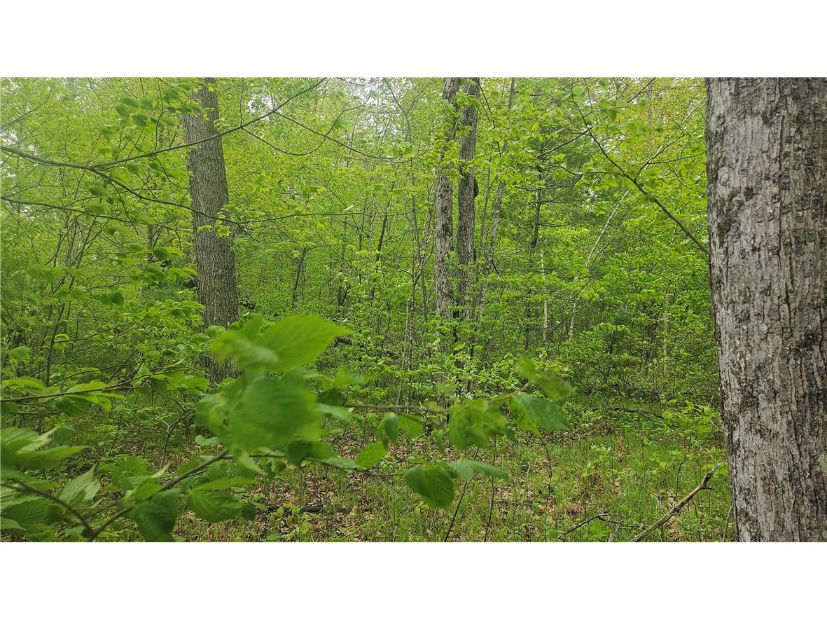 Lot 3 Buckeye Lane Stone Lake WI 54876 1591844 image3