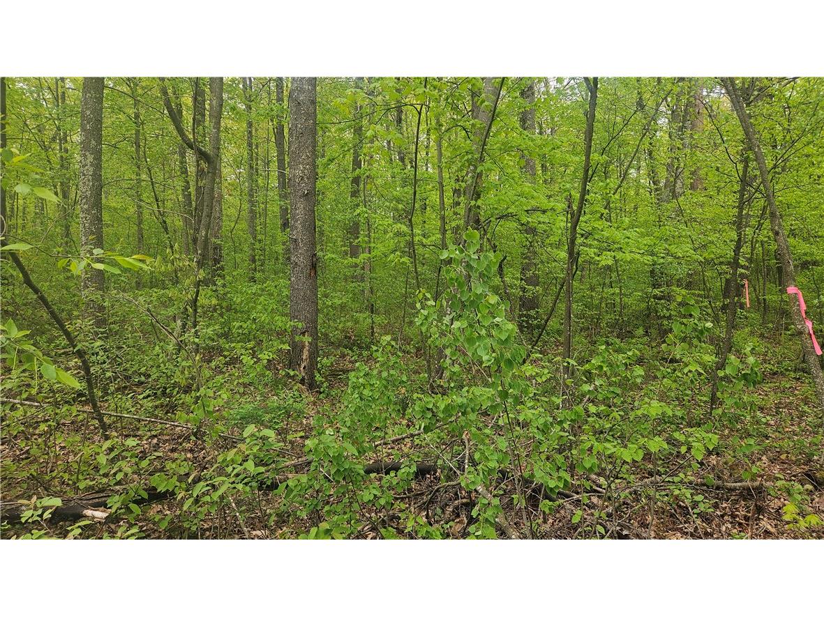 Lot 3 Buckeye Lane Stone Lake WI 54876 1591844 image4