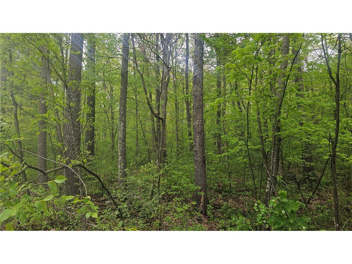 Lot 3 Buckeye Lane Stone Lake WI 54876 1591844 image5