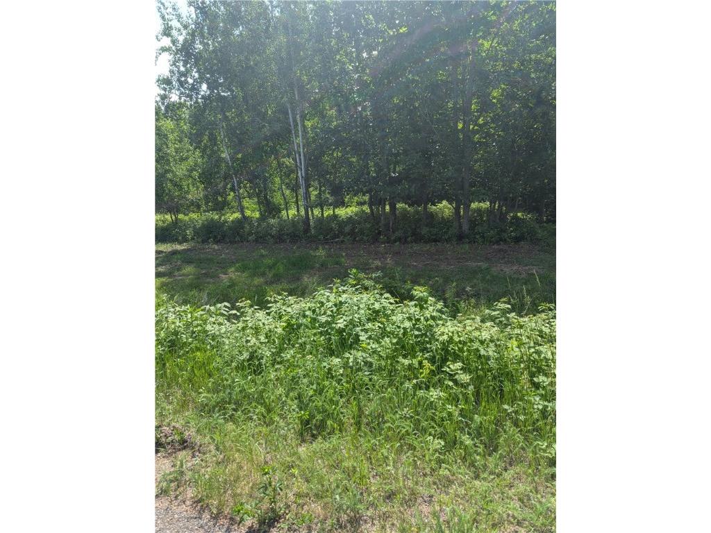 Lot 3 CSM #2055 361st Street Stanley WI 54768 1593054 image1