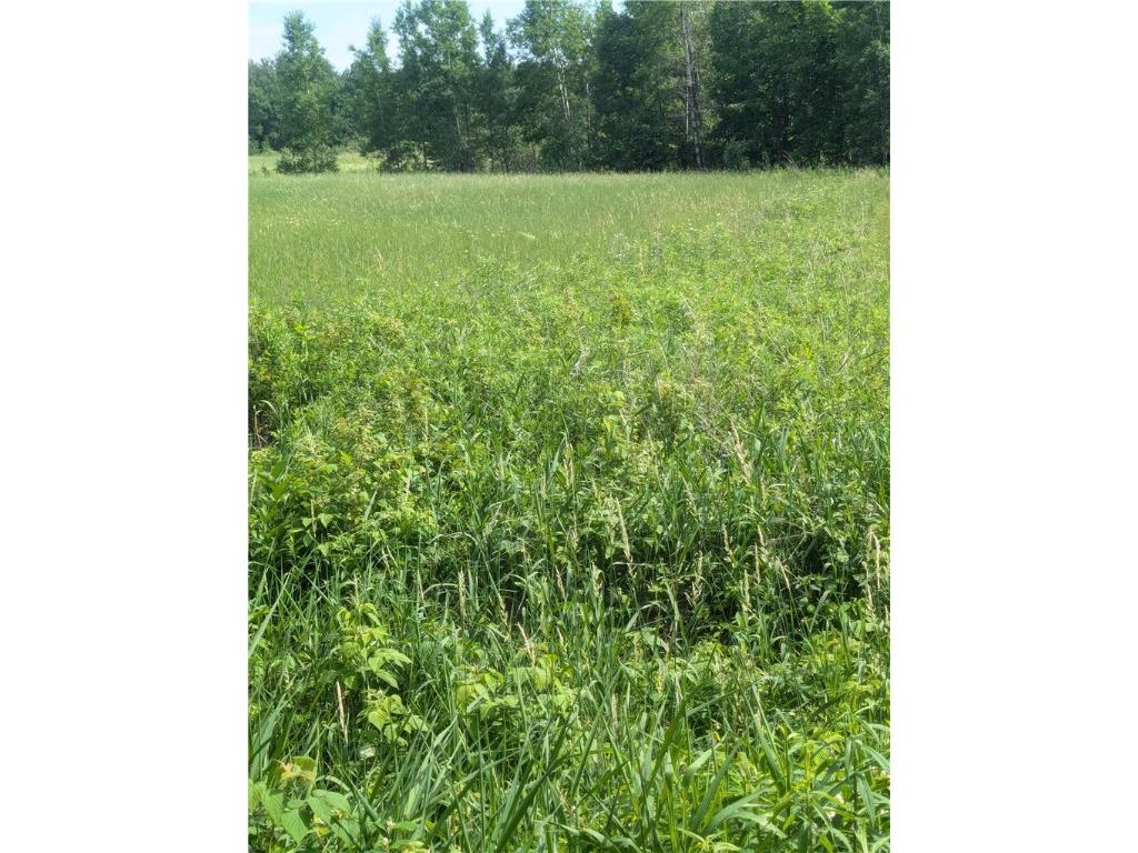Lot 3 CSM # 2158 165th Avenue Stanley WI 54768 1593060 image1