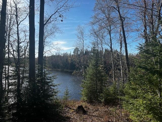 Lot 3 Canvasback Lane Hayward WI 54843 - Callahan 1581831 image1