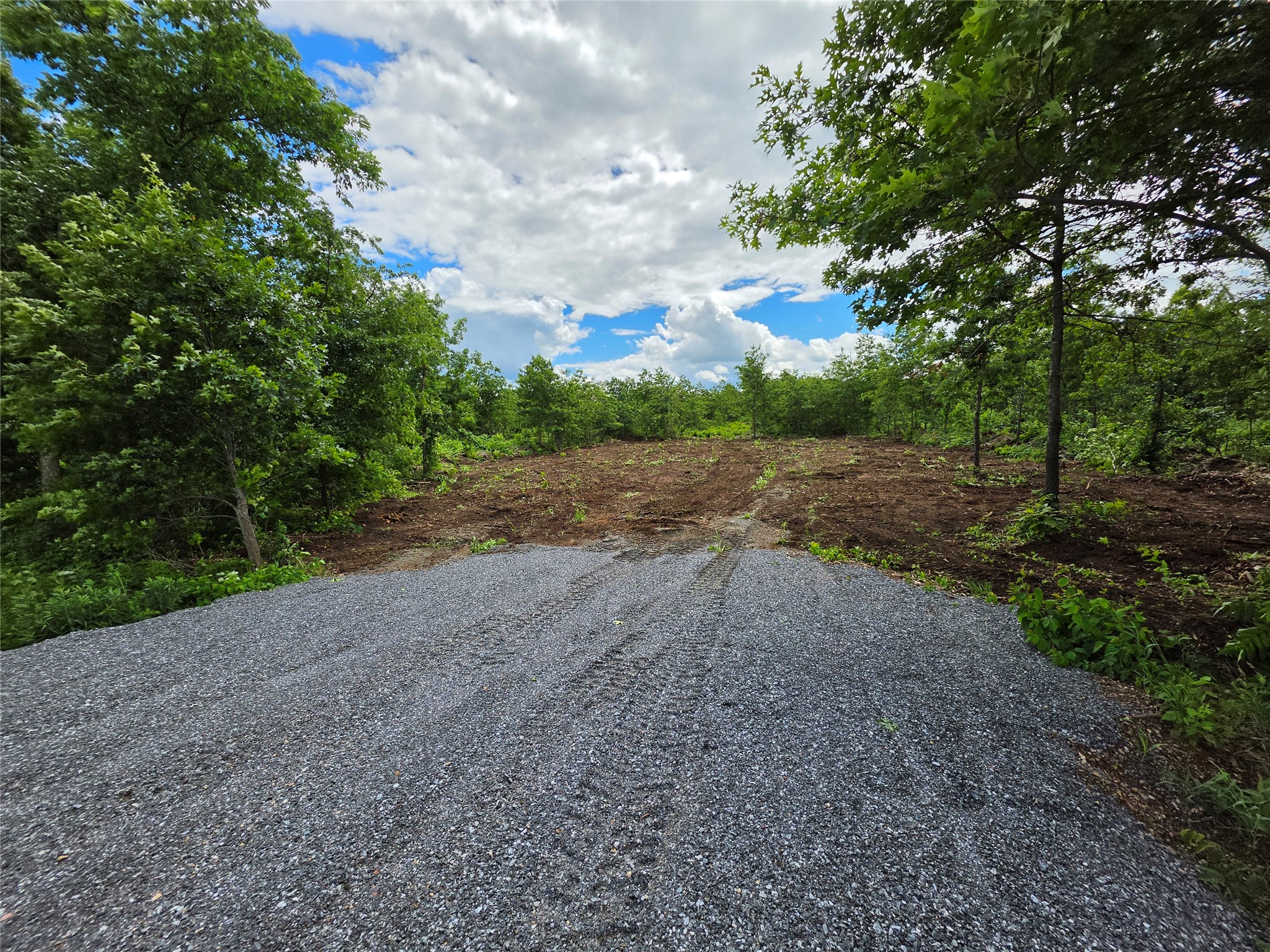 Lot 3 County Highway E Elk Mound WI 54739 1600992 image1