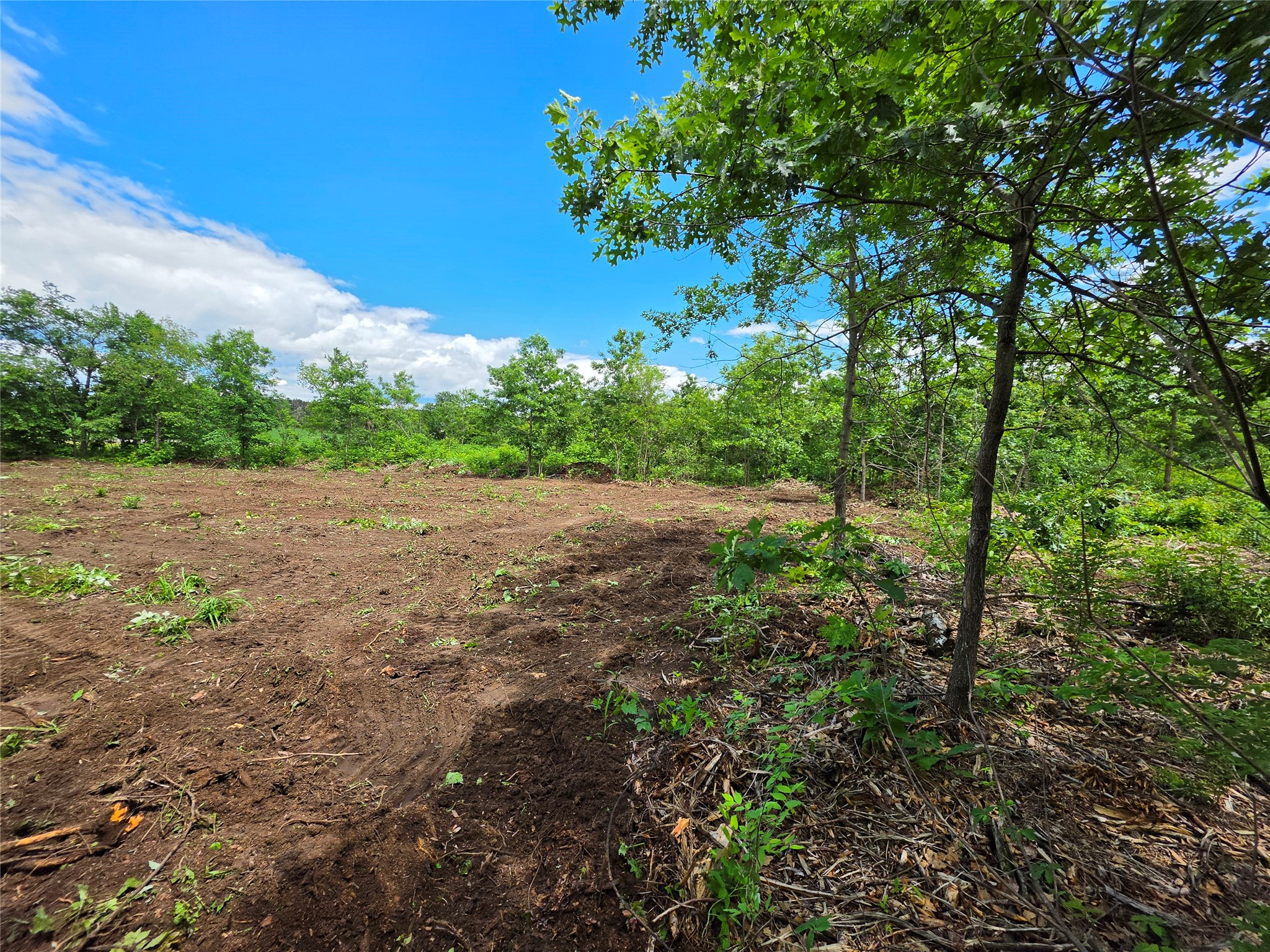 Lot 3 County Highway E Elk Mound WI 54739 1600992 image3