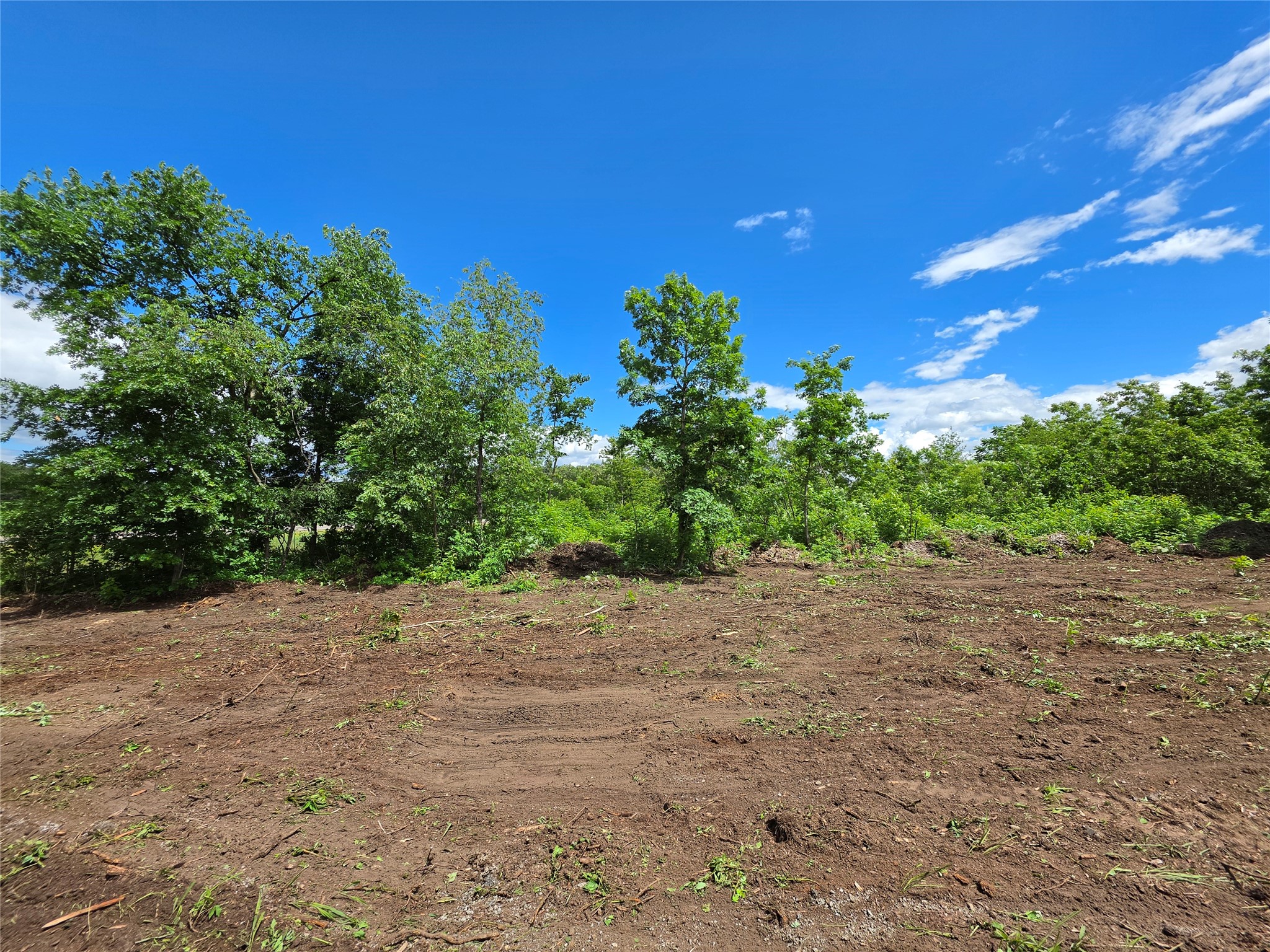 Lot 3 County Highway E Elk Mound WI 54739 1600992 image4