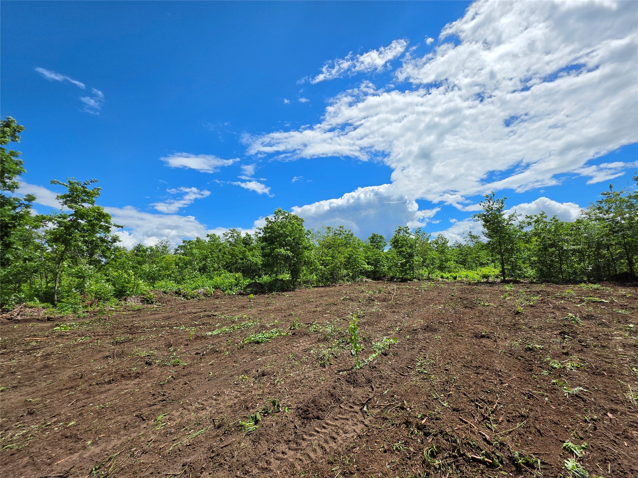Lot 3 County Highway E Elk Mound WI 54739 1600992 image5