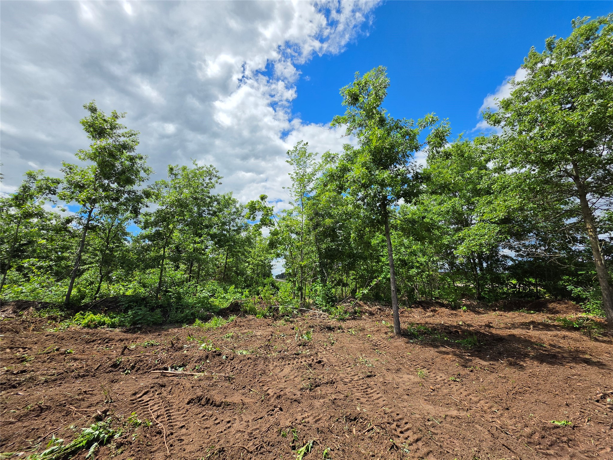 Lot 3 County Highway E Elk Mound WI 54739 1600992 image6