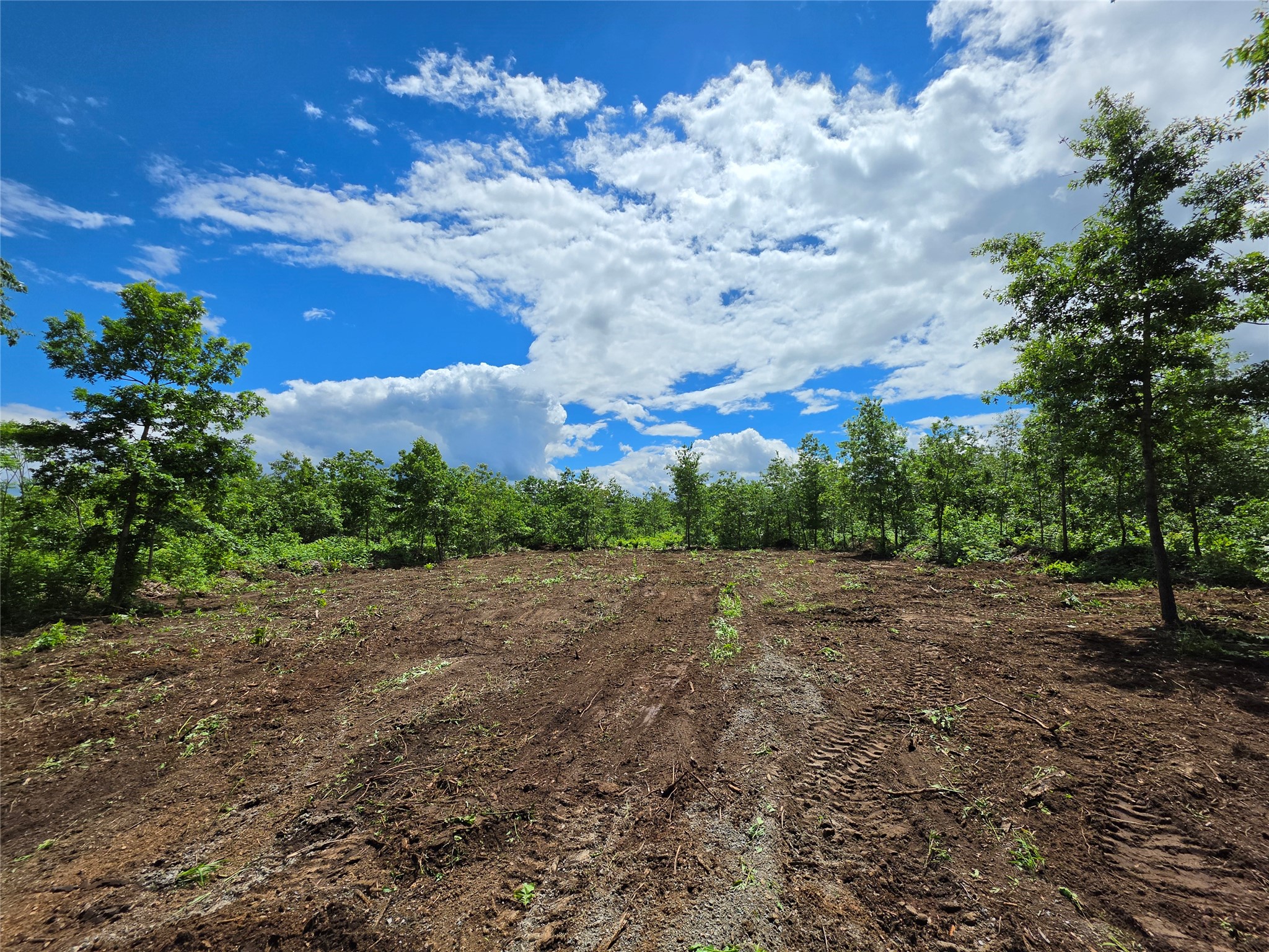 Lot 3 County Highway E Elk Mound WI 54739 1600992 image7