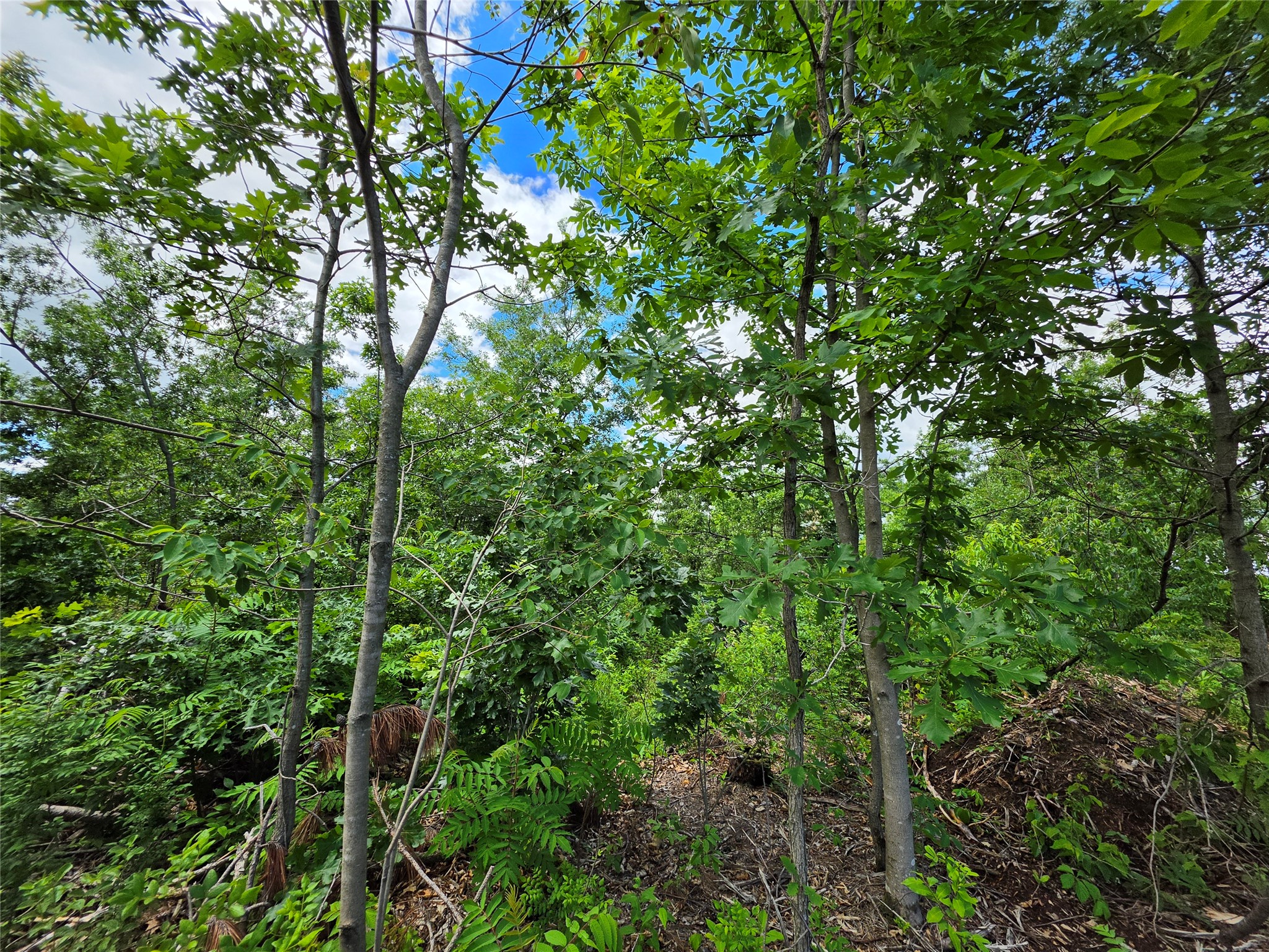 Lot 3 County Highway E Elk Mound WI 54739 1600992 image8