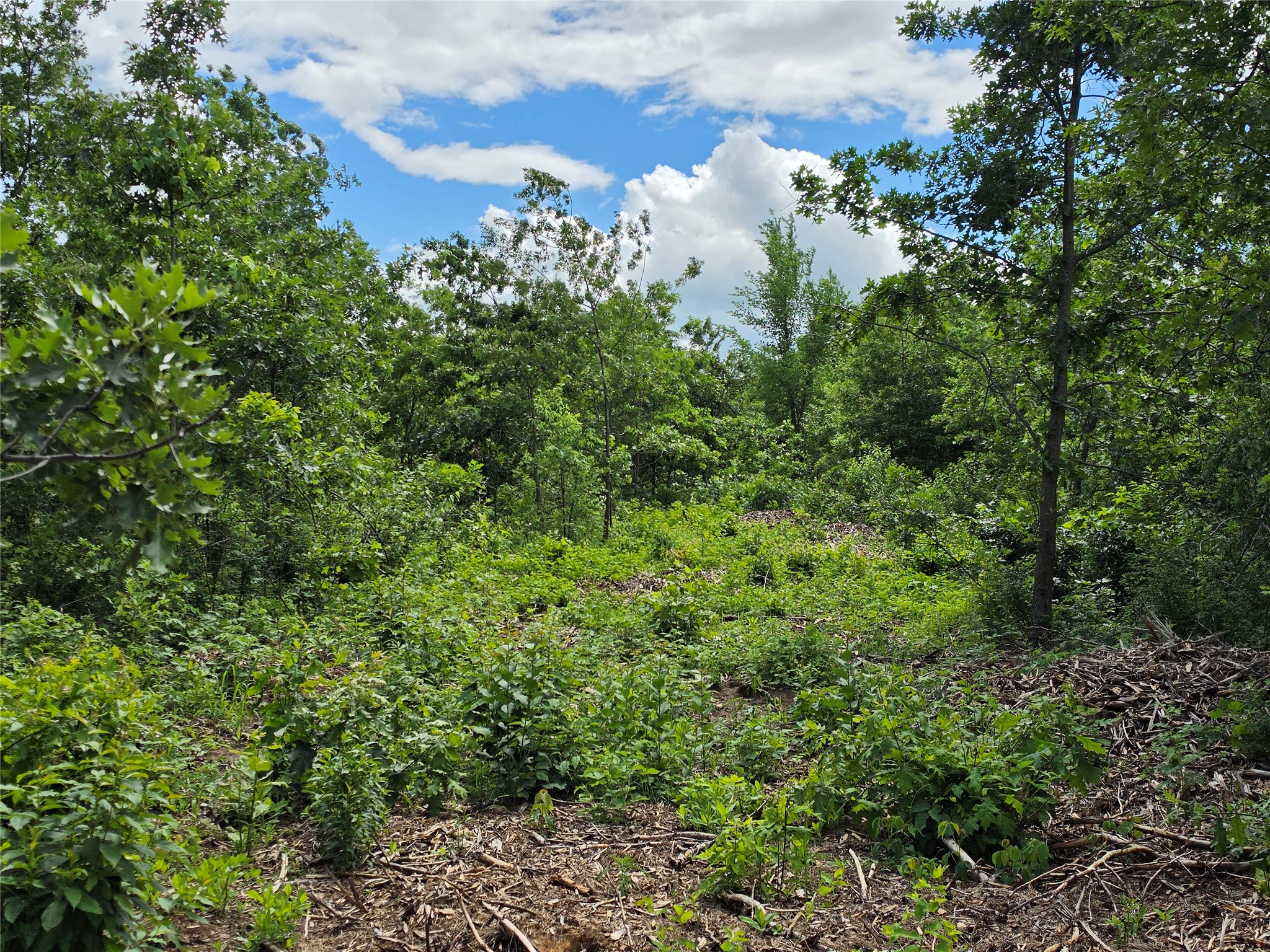 Lot 3 County Highway E Elk Mound WI 54739 1600992 image9