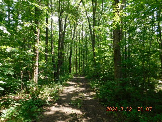 Lot 3 County Highway F New Auburn WI 54757 1583807 image1