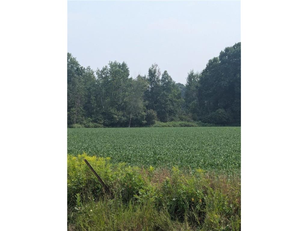 Lot 3 County Highway W Holcombe WI 54754 1589095 image4