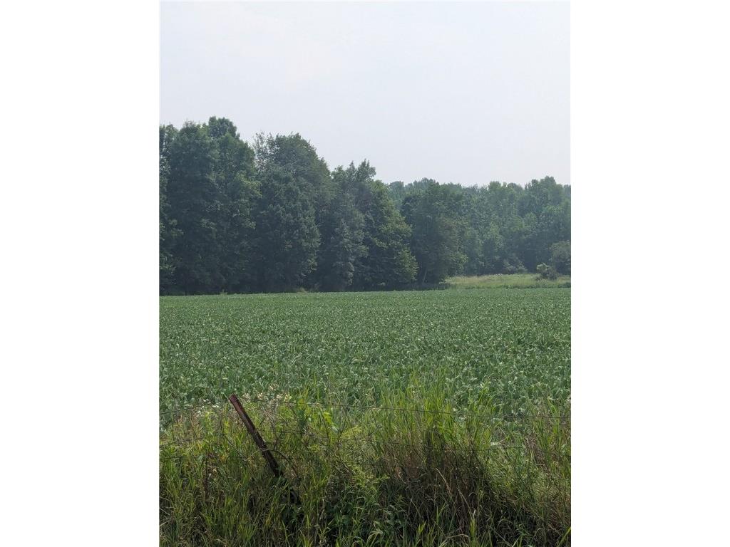 Lot 3 County Highway W Holcombe WI 54754 1589095 image5