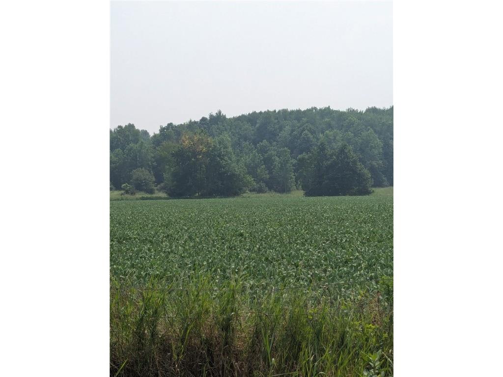 Lot 3 County Highway W Holcombe WI 54754 1589095 image6