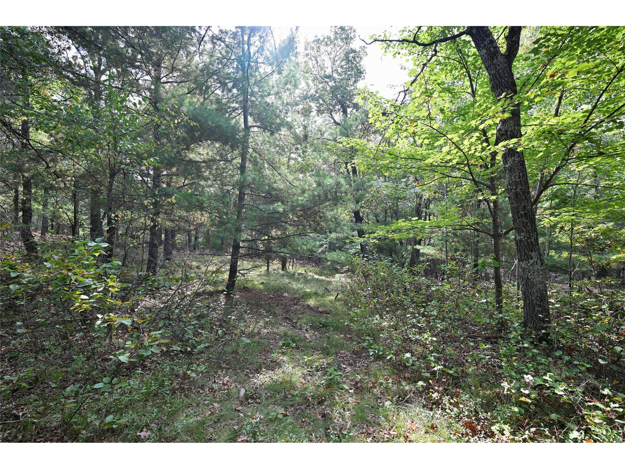 Lot 3 Dragon Drive Minong WI 54859 - Nancy 1600086 image6