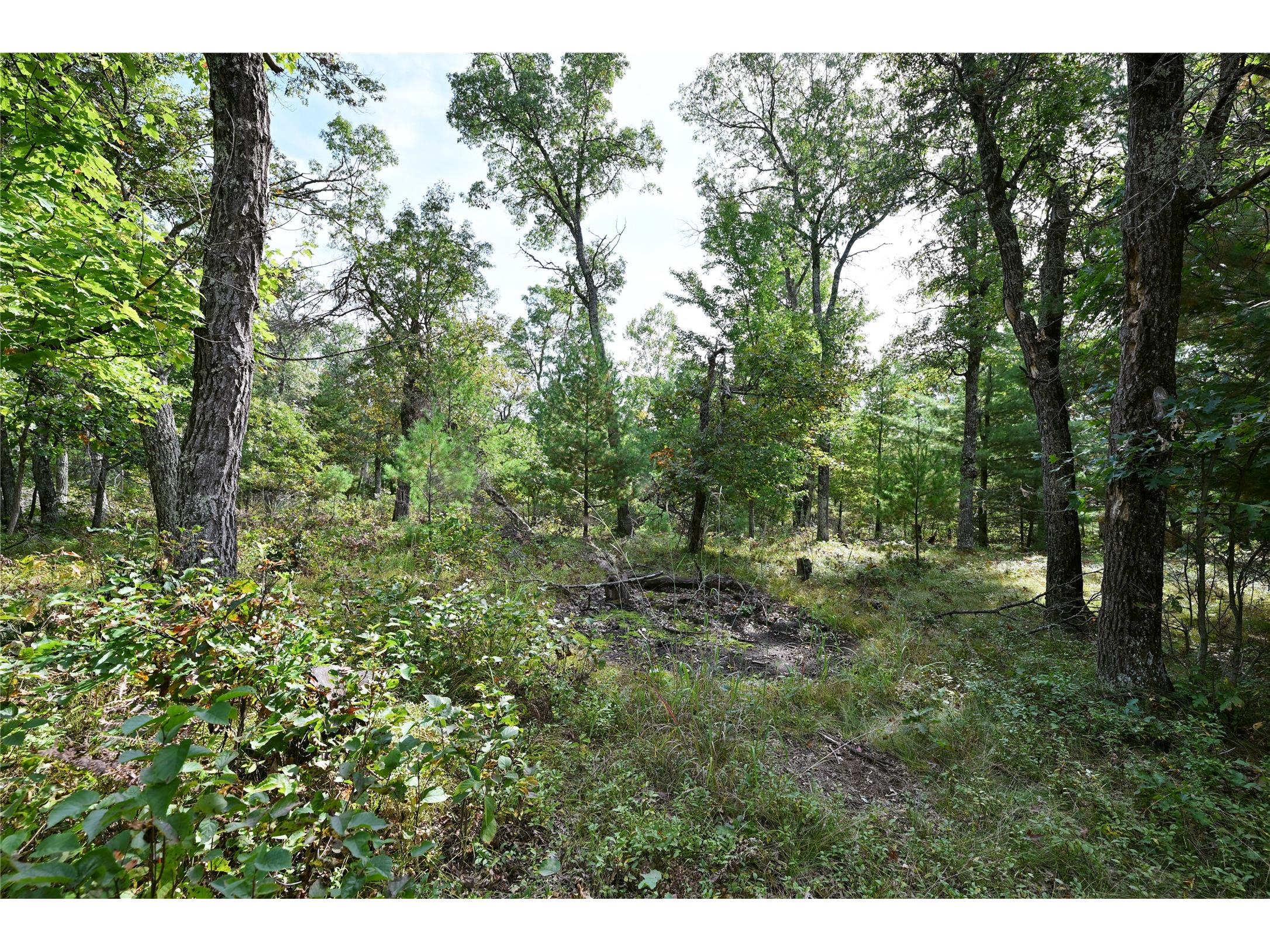 Lot 3 Dragon Drive Minong WI 54859 - Nancy 1600086 image7