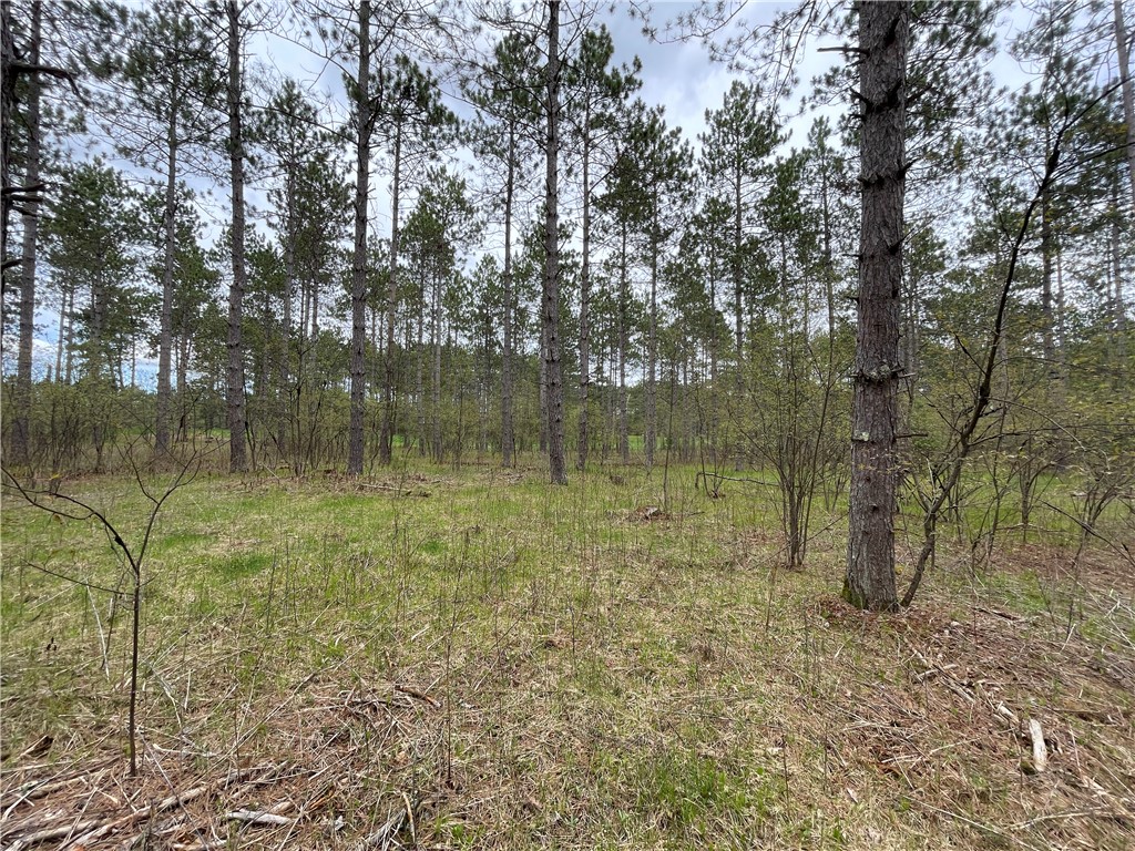 Lot 3 Elaine Drive Hayward WI 54843 1578878 image1