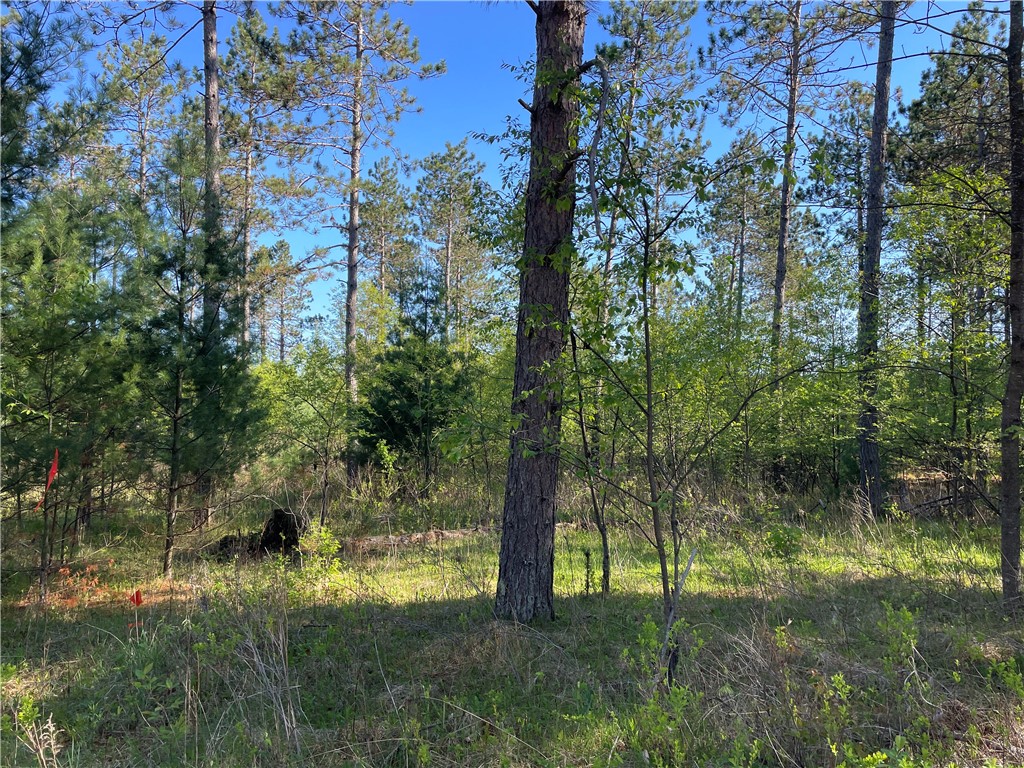 Lot 3 Elaine Drive Hayward WI 54843 1591967 image1