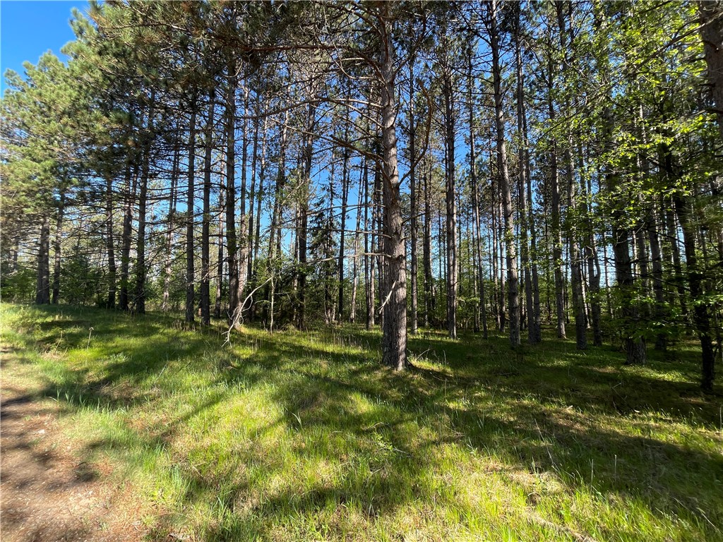 Lot 3 Elaine Drive Hayward WI 54843 1591967 image10