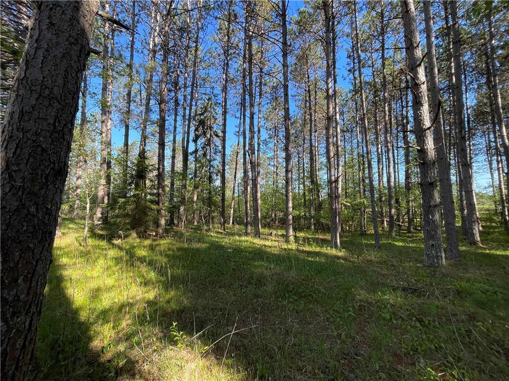 Lot 3 Elaine Drive Hayward WI 54843 1591967 image11
