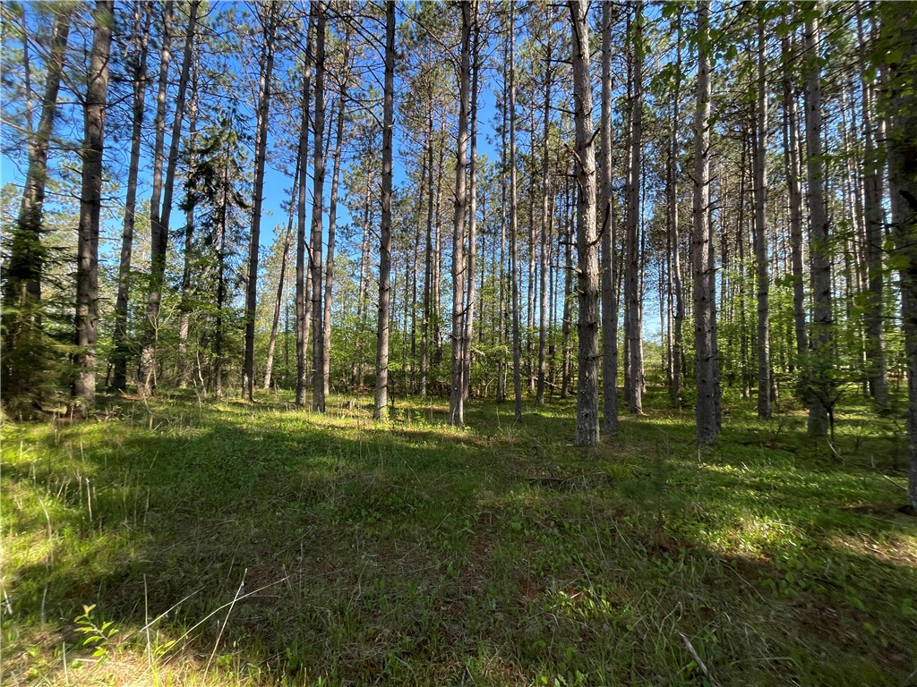 Lot 3 Elaine Drive Hayward WI 54843 1591967 image12