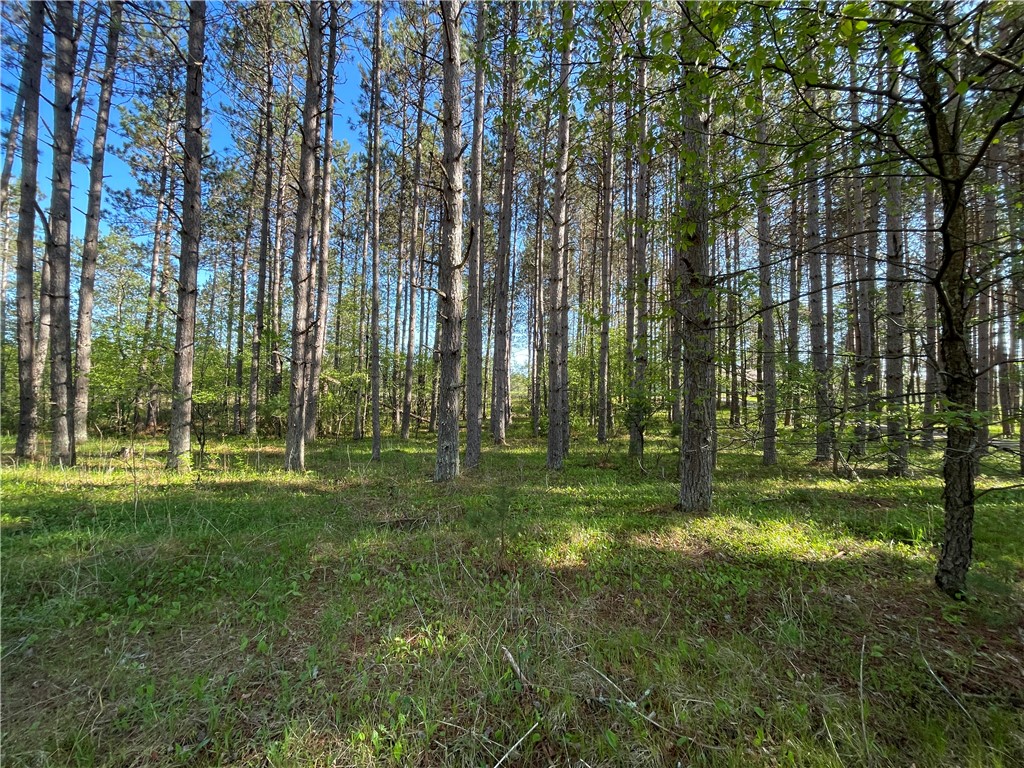 Lot 3 Elaine Drive Hayward WI 54843 1591967 image13