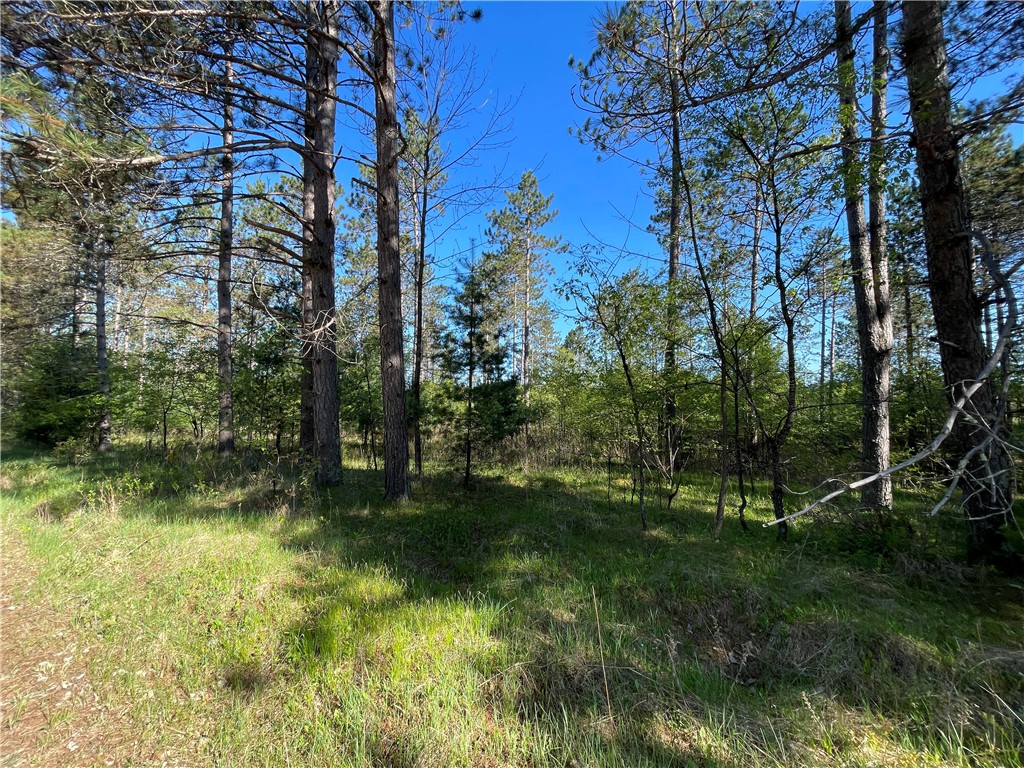 Lot 3 Elaine Drive Hayward WI 54843 1591967 image14