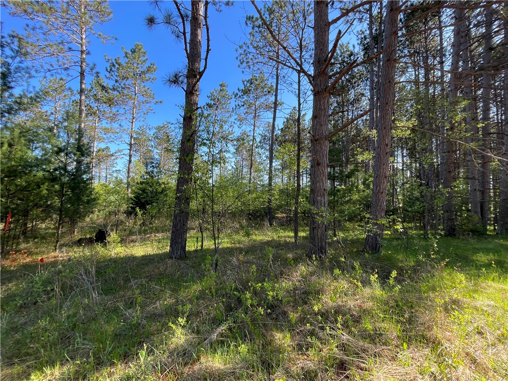 Lot 3 Elaine Drive Hayward WI 54843 1591967 image2