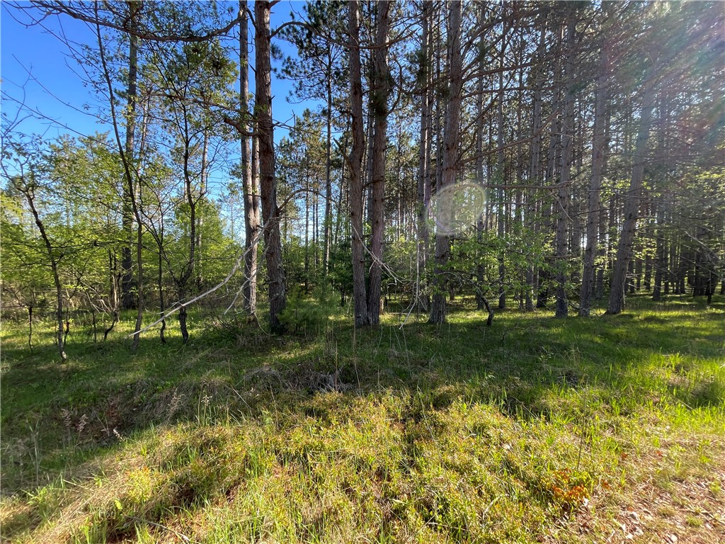 Lot 3 Elaine Drive Hayward WI 54843 1591967 image4