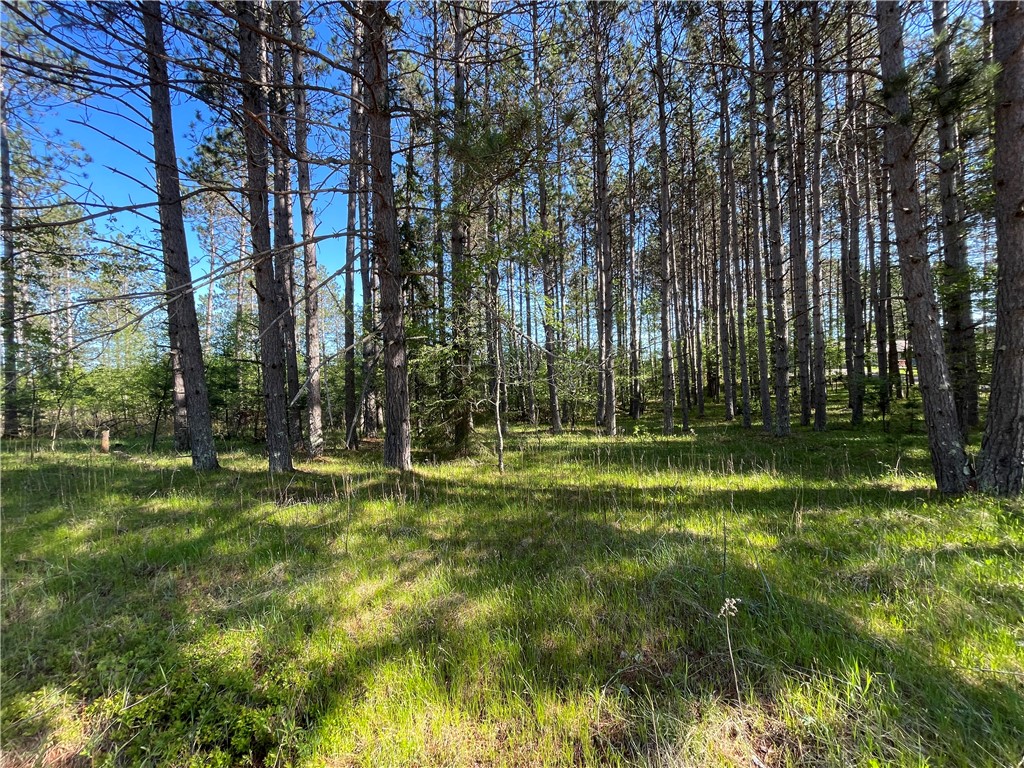 Lot 3 Elaine Drive Hayward WI 54843 1591967 image6