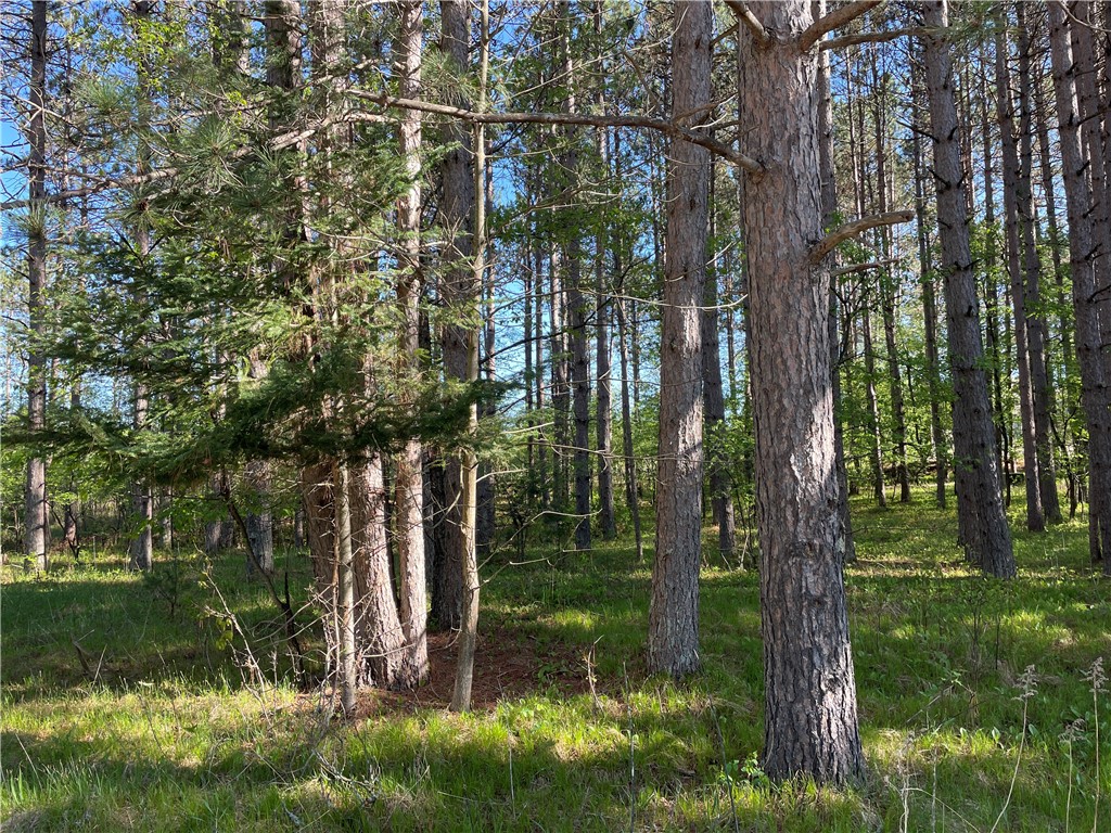 Lot 3 Elaine Drive Hayward WI 54843 1591967 image7