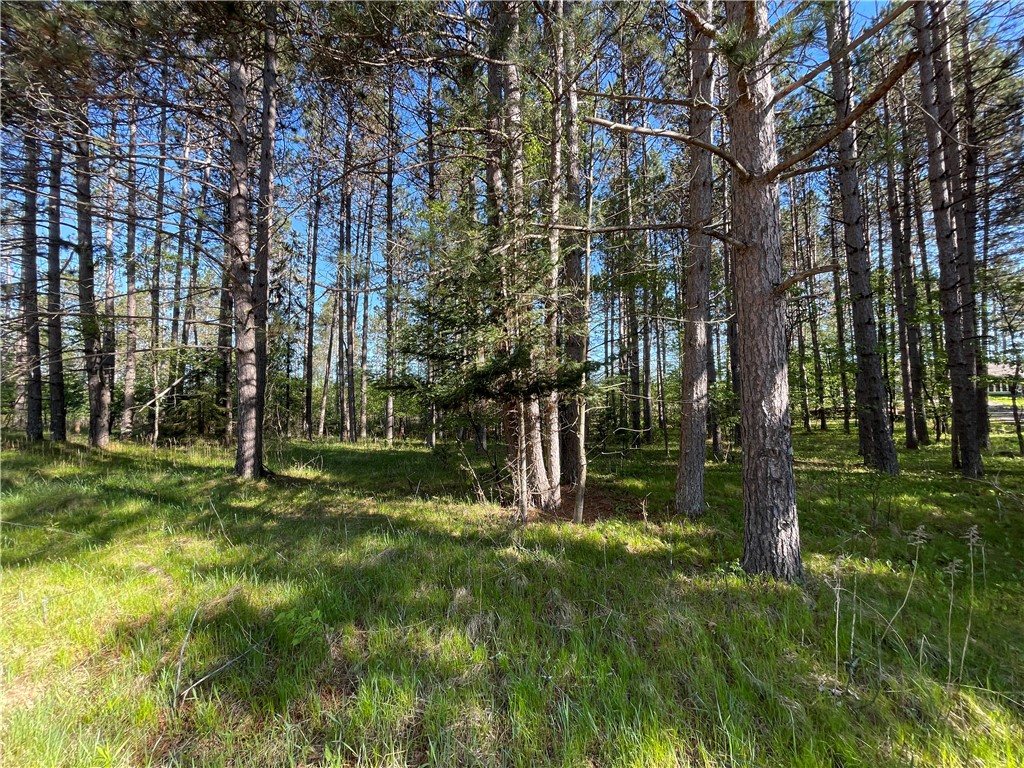Lot 3 Elaine Drive Hayward WI 54843 1591967 image8