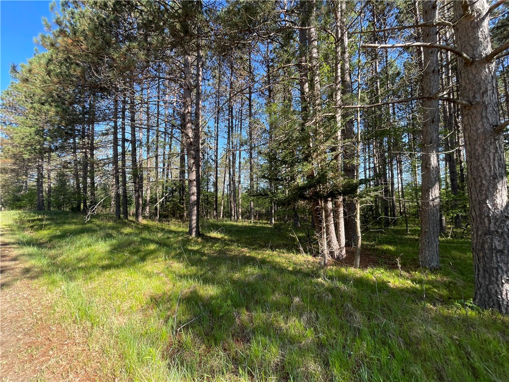 Lot 3 Elaine Drive Hayward WI 54843 1591967 image9