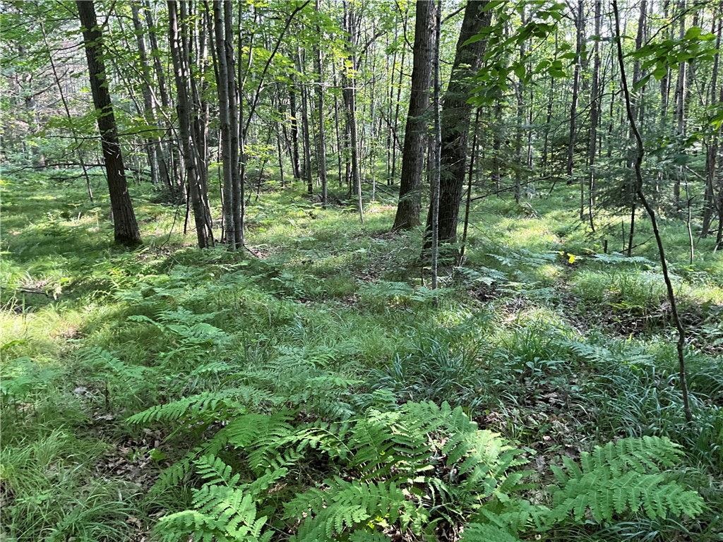 Lot 3 Falcon Ridge Hayward WI 54843 - Chief River 1594108 image1