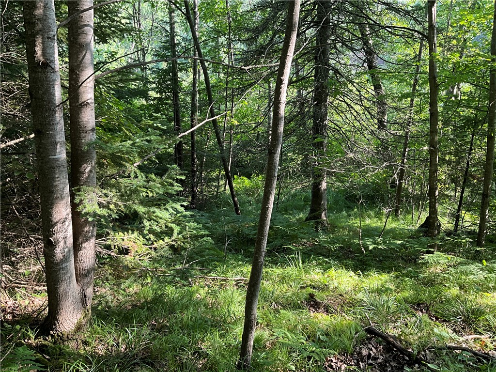 Lot 3 Falcon Ridge Hayward WI 54843 - Chief River 1594108 image6