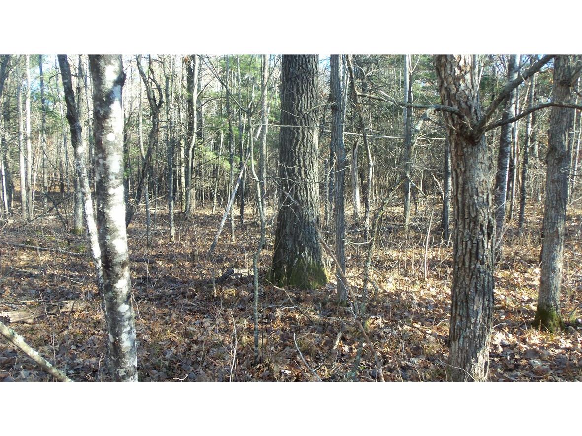 Lot 3 Ferry Rd Grantsburg WI 54840 1597293 image6