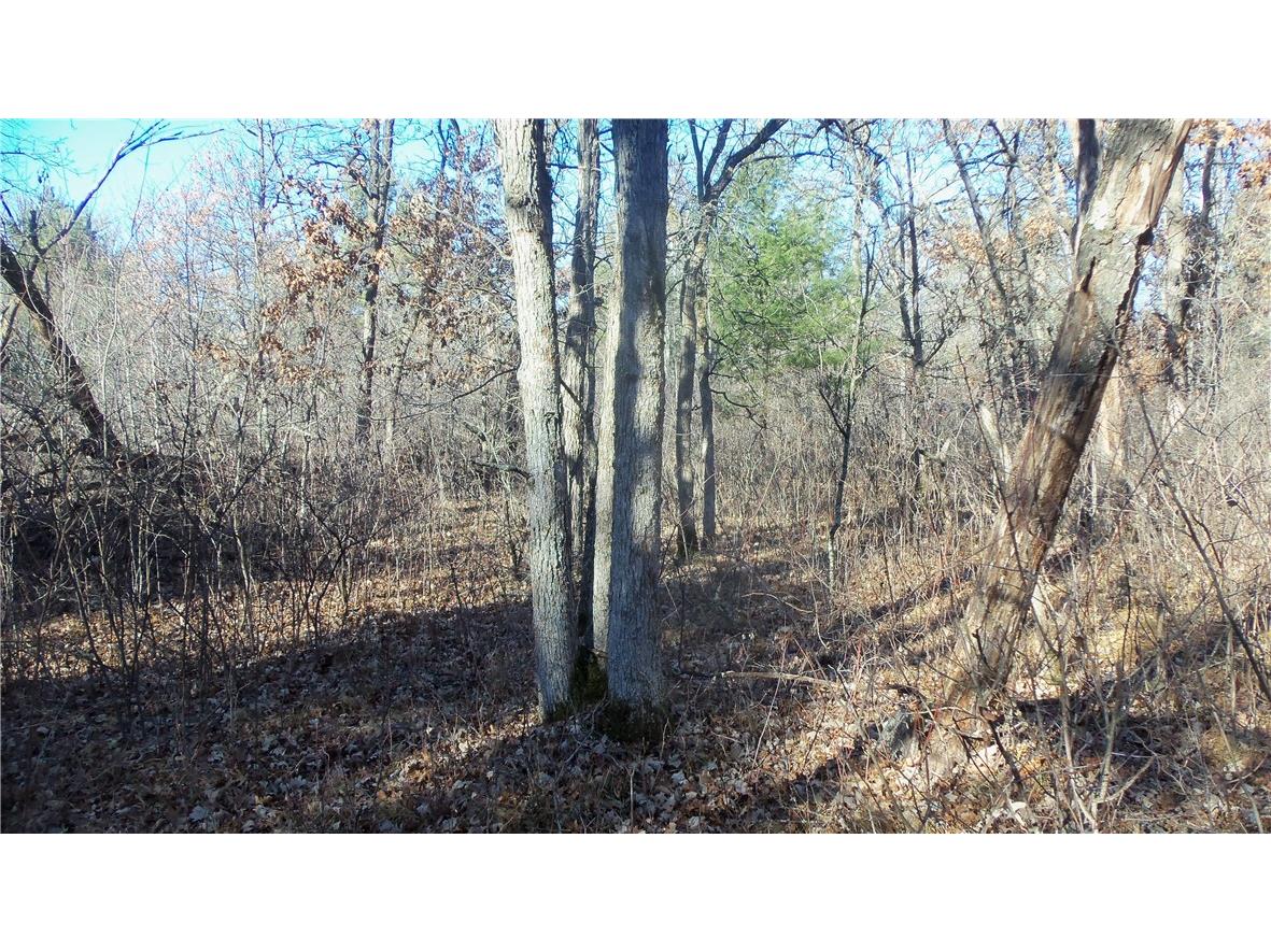 Lot 3 Ferry Rd Grantsburg WI 54840 1597293 image8
