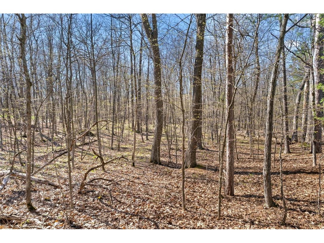 Lot 3 Fishing Club Lane Hayward WI 54843 - Lac Courte Oreilles 1595727 image10