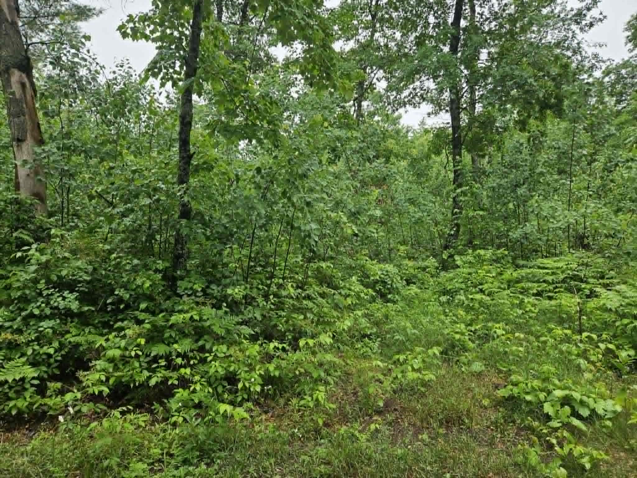 Lot 3 Hilly Lane Spooner WI 54801 1602449 image1