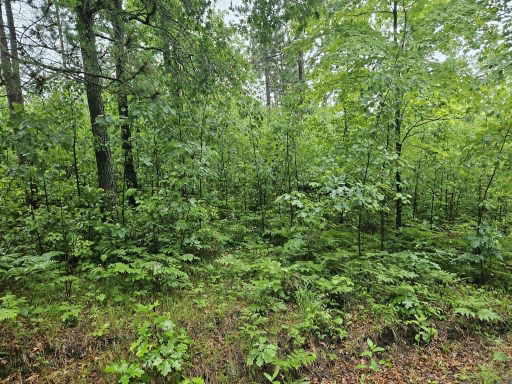 Lot 3 Hilly Lane Spooner WI 54801 1602449 image2
