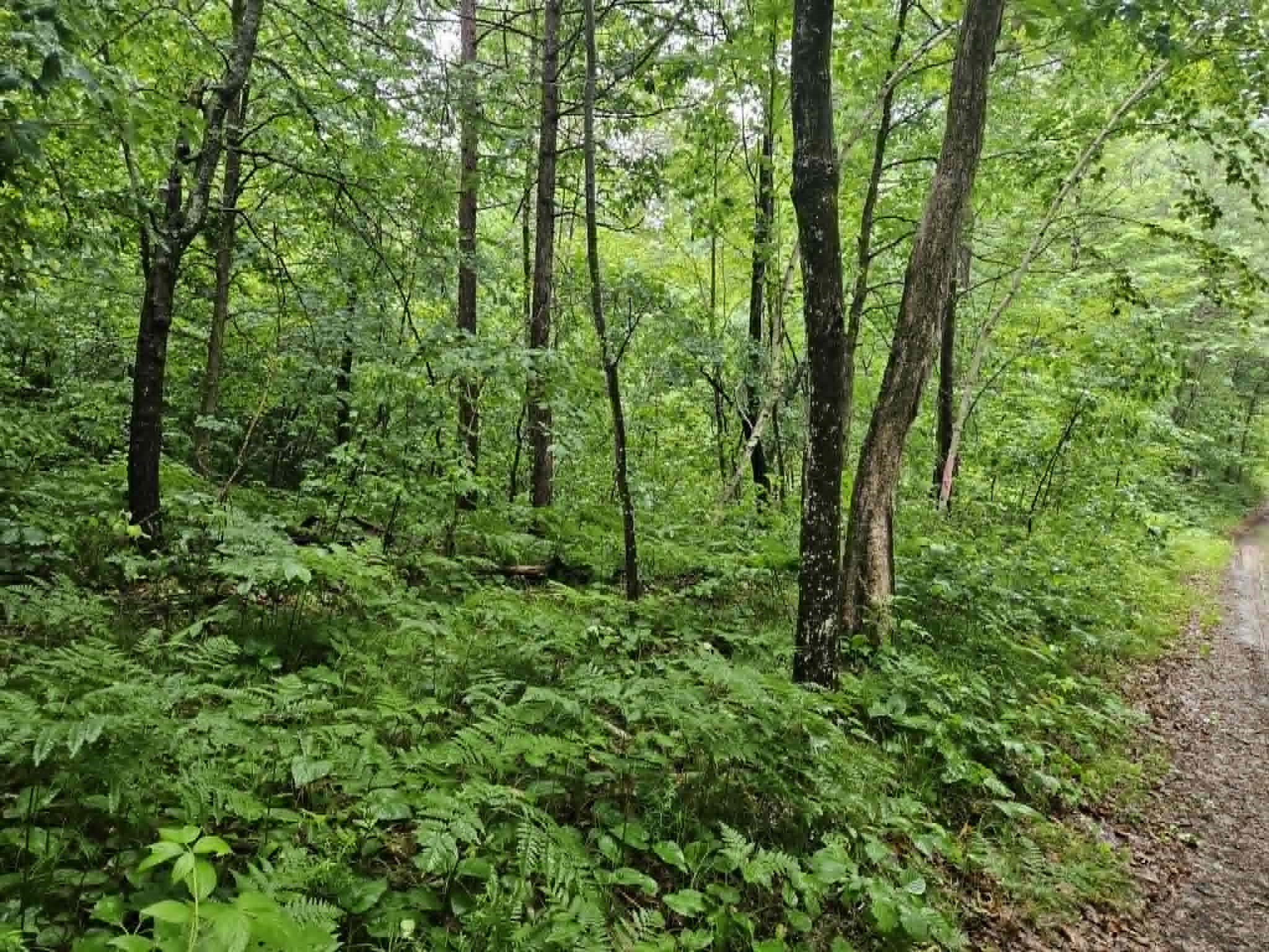 Lot 3 Hilly Lane Spooner WI 54801 1602449 image3
