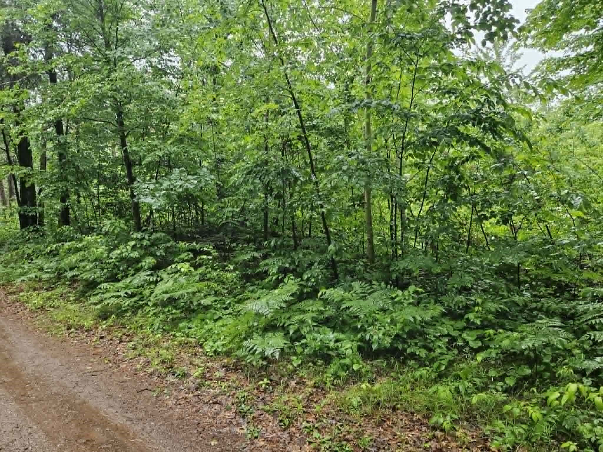 Lot 3 Hilly Lane Spooner WI 54801 1602449 image4