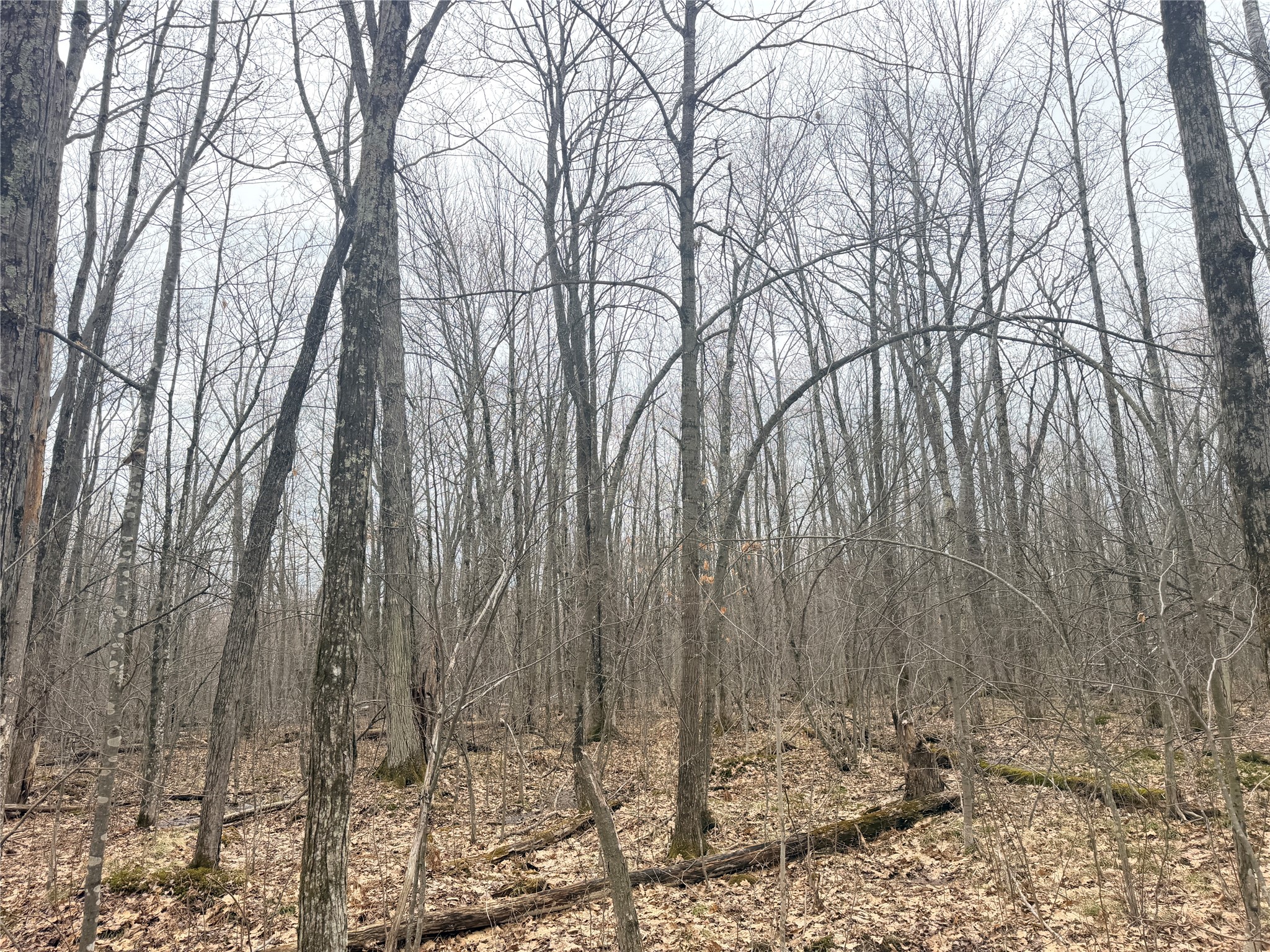 Lot 3 Hwy X Glen Flora WI 54526 1600084 image13