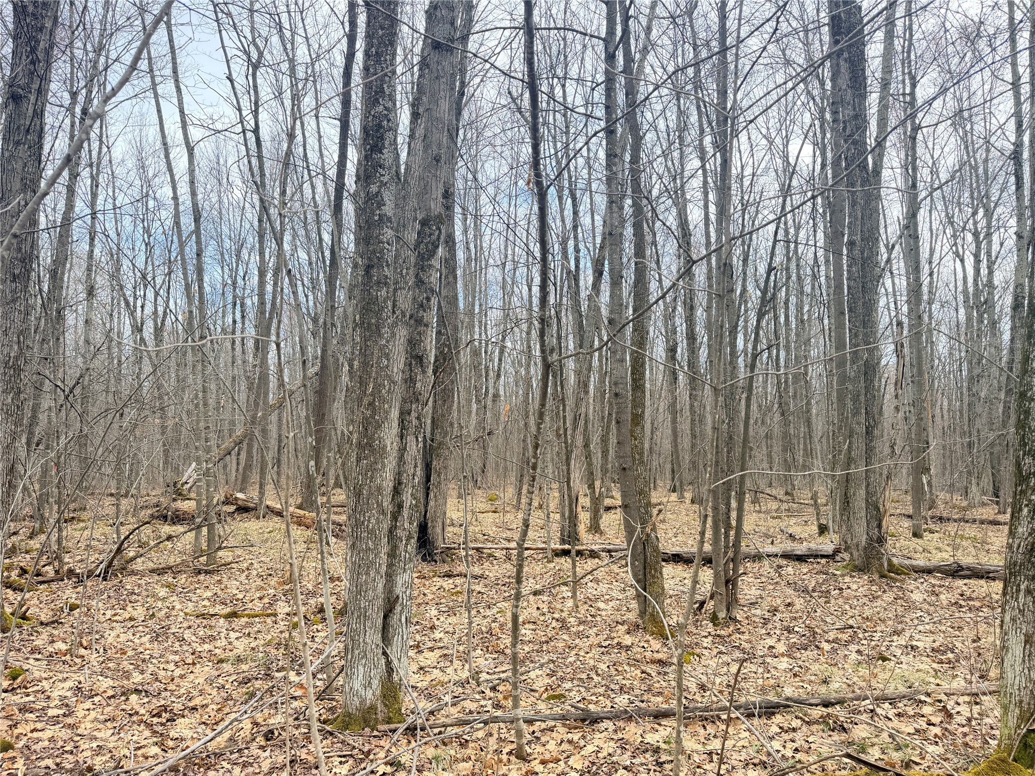 Lot 3 Hwy X Glen Flora WI 54526 1600084 image16