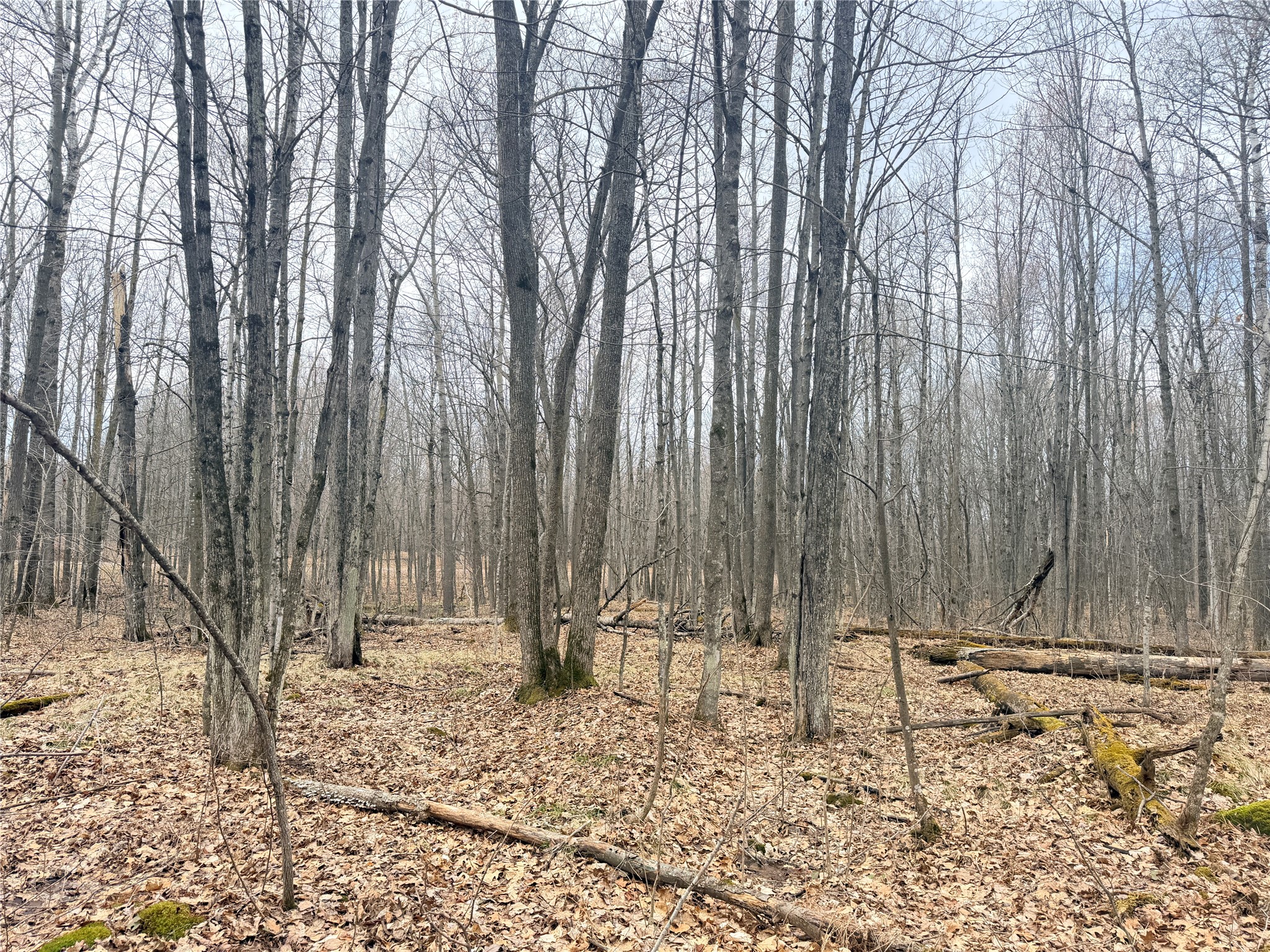 Lot 3 Hwy X Glen Flora WI 54526 1600084 image20
