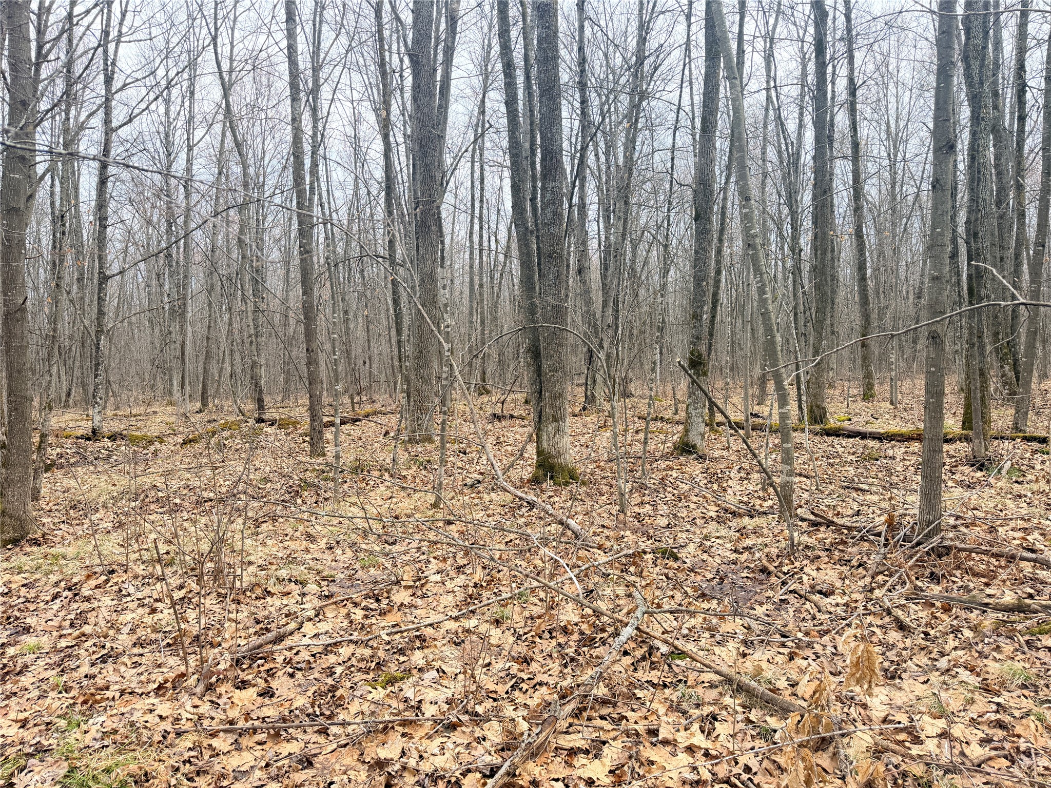 Lot 3 Hwy X Glen Flora WI 54526 1600084 image21