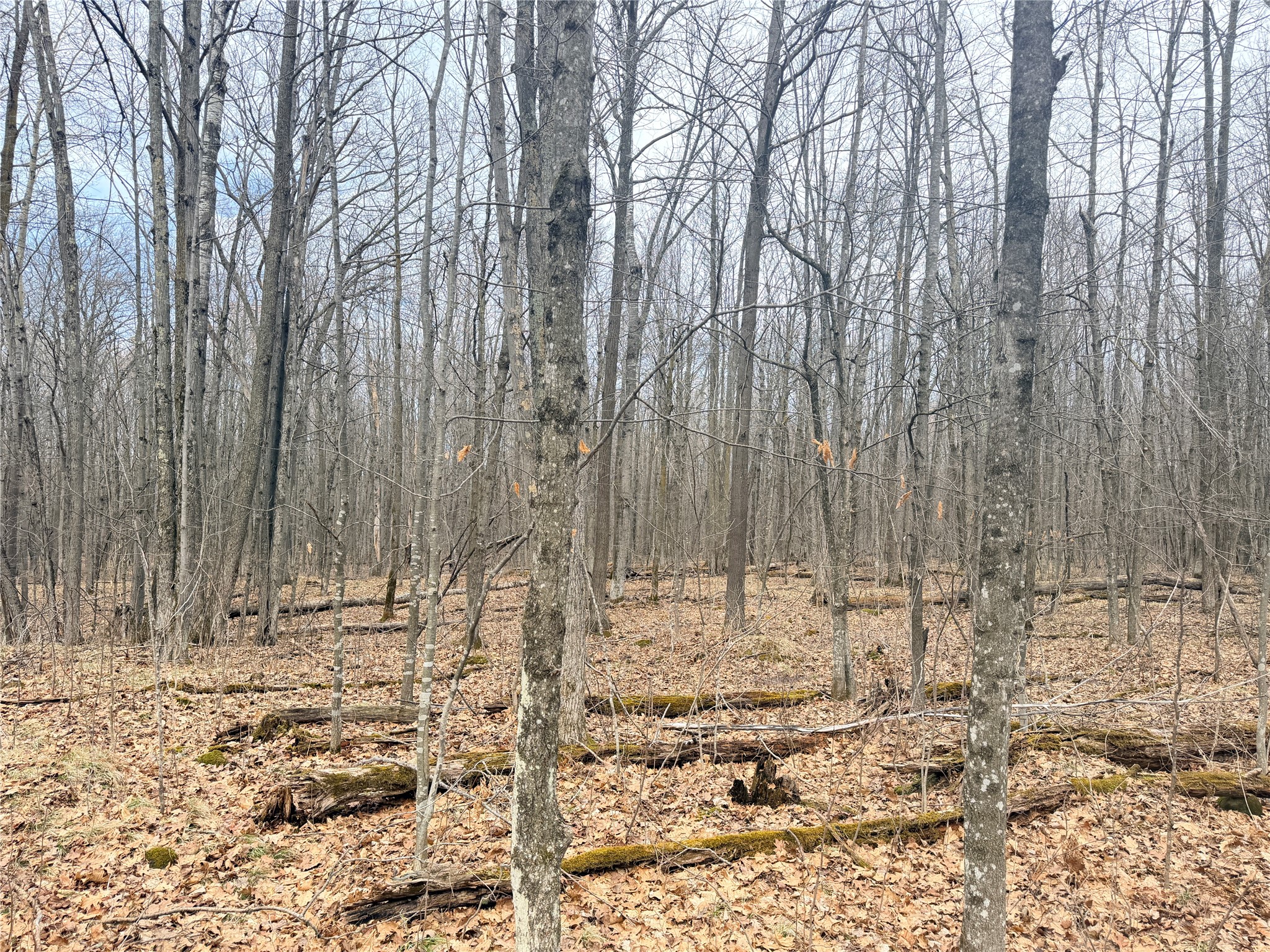 Lot 3 Hwy X Glen Flora WI 54526 1600084 image23