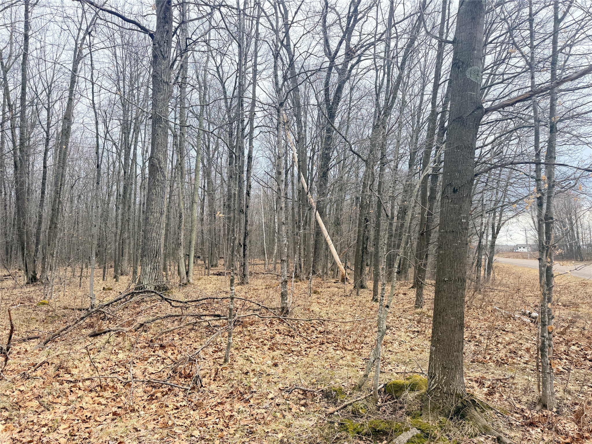 Lot 3 Hwy X Glen Flora WI 54526 1600084 image25