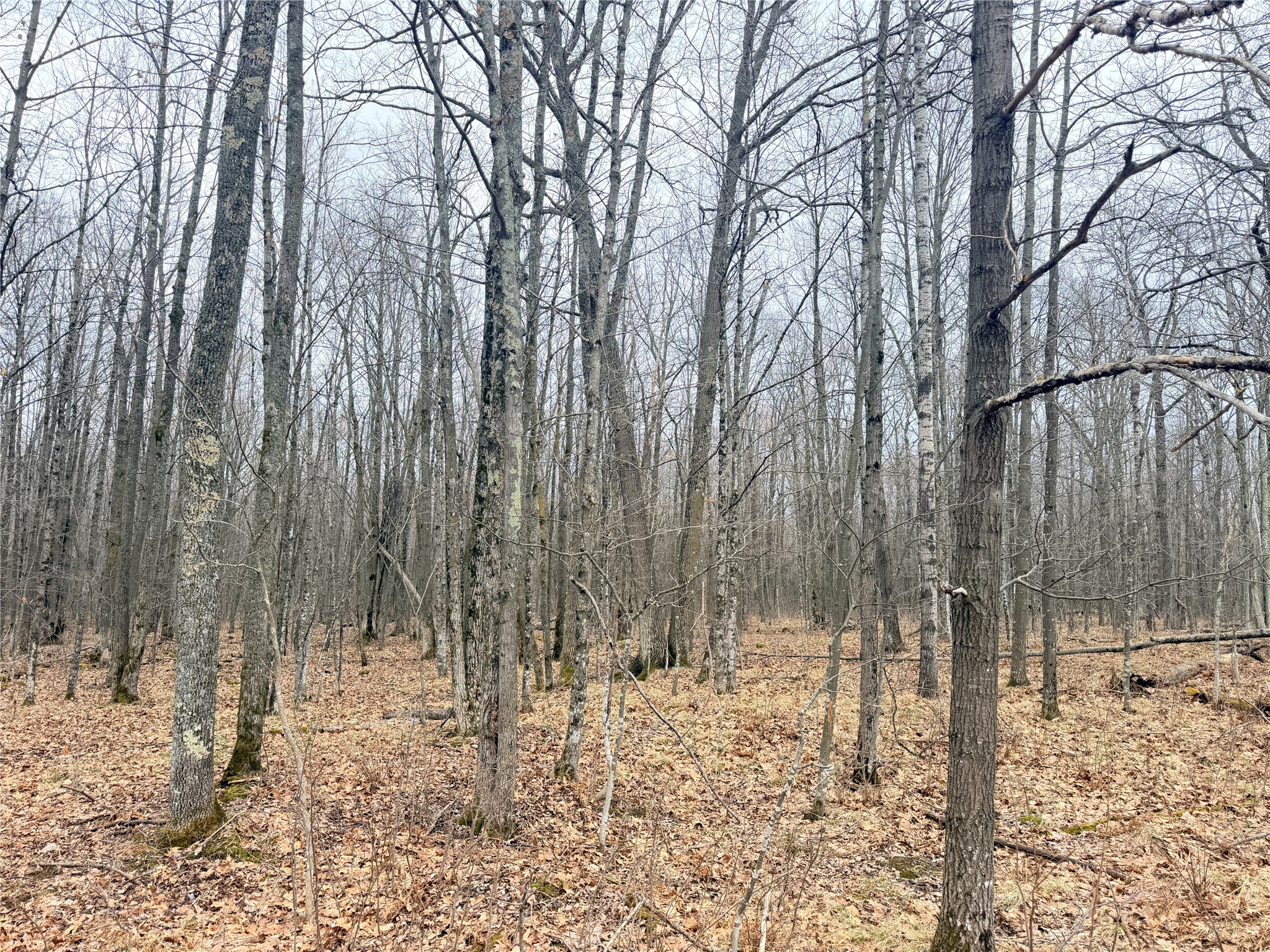 Lot 3 Hwy X Glen Flora WI 54526 1600084 image3